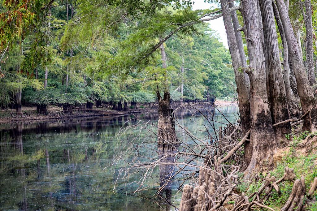Big Cypress Bayou - Land