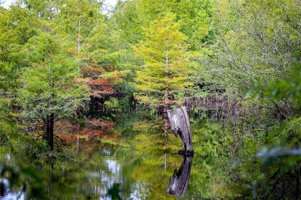 Big Cypress Bayou - Land