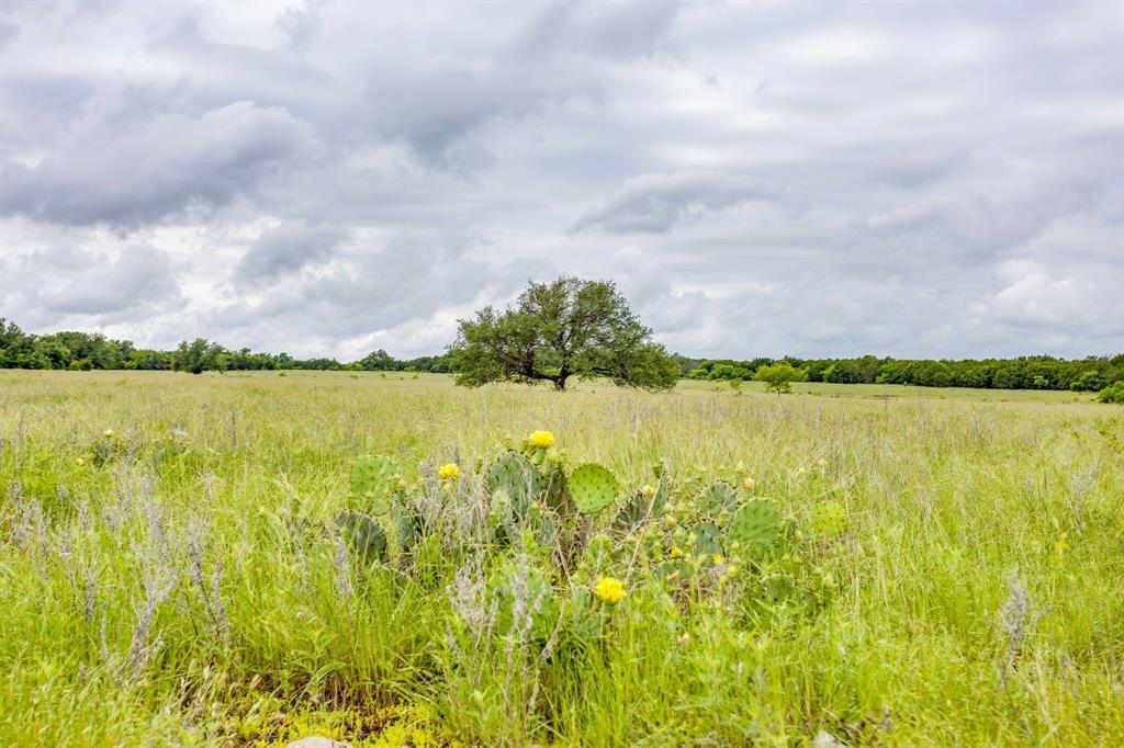 Palo Pinto - Farm