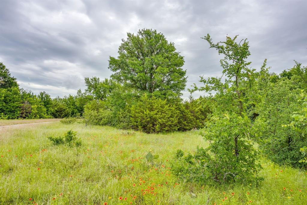 Palo Pinto - Farm