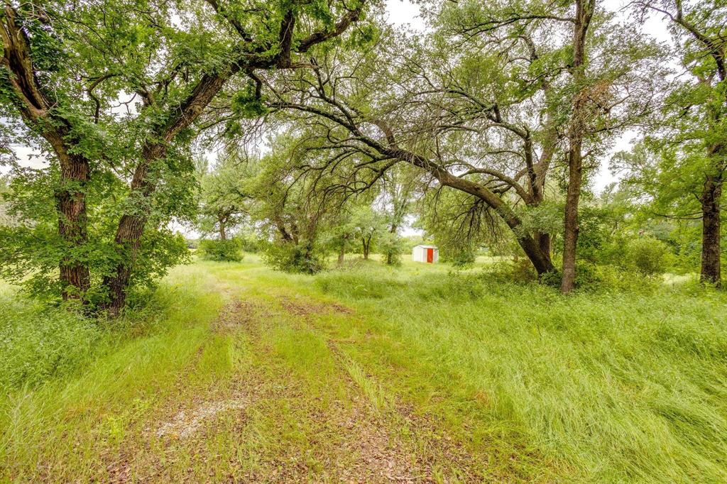 Palo Pinto - Farm