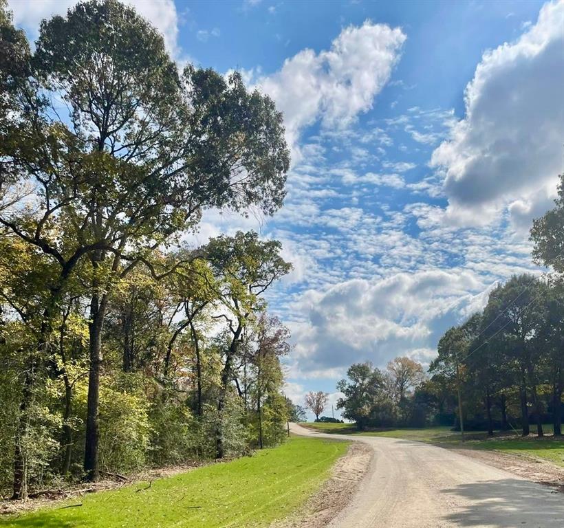 009 County Rd 242