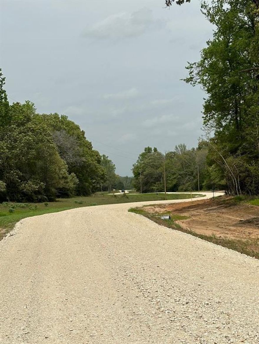 OAKWOOD RANCH is located in the beautiful rolling hills of Leon County, TX between Dallas and Houston, only 20 minutes from I-45 near Buffalo, TX and 20 minutes from Palestine, TX. This tract is mostly open at the front of the property, with plenty of mature oak and hardwood trees scattered throughout. With over 438 ft of ranch road frontage at the front of the tract, and water and electricity that run along the road, it's an ideal location to build your new bardominium, cabin, or new home! Sandy loam soil, Wildlife Ag exemption is already in place for lower taxes and a new survey is available.