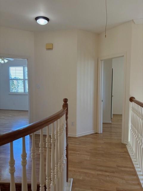 OAK TREE - Residential