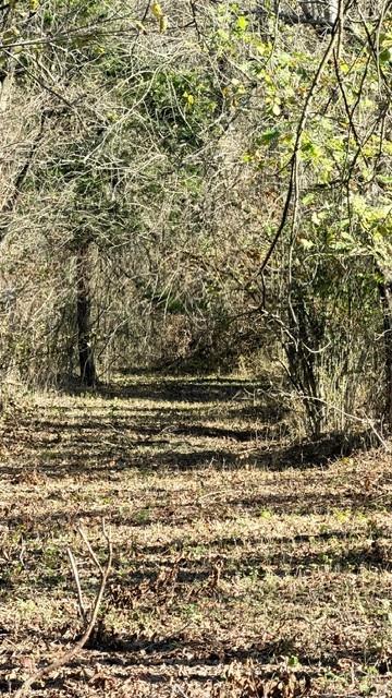 330 County Road 2975