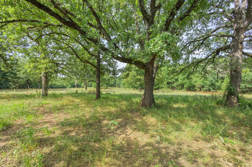 John P Thurston Surv Abs #1206 - Residential