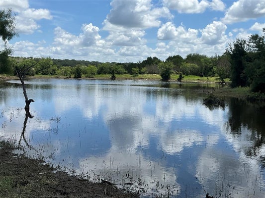 ADDRESS PRIVATE, GUSTINE, TX 76455 - Image de061f52f5e237ef2f887789ed1ca212/1309330896