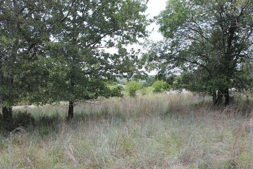 Interior lot with 1.5 acres in beautiful North Star Pointe on Lake Bridgeport. This is an upscale gated community, North Star Pointe. Lake Bridgeport, a 12,000 acre lake that is a first choice of boaters, skiers, fishermen, and other water sports. The community features its own private water system, paved streets, underground utilities, on one plus size acre lots. The community pool and boat ramp at North Star Pointe are available to all owners. Come enjoy the lake.