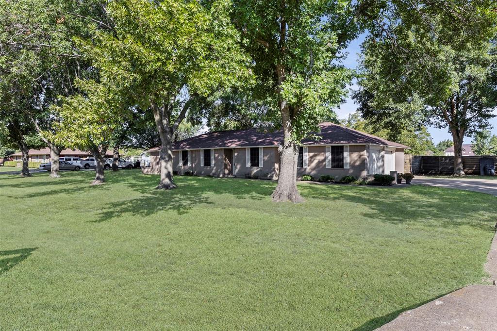 113 Hackberry Street