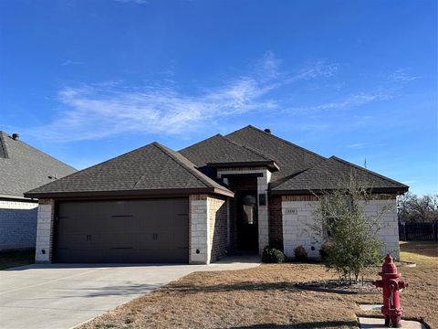 3339 White Horse Drive Granbury TX 76049