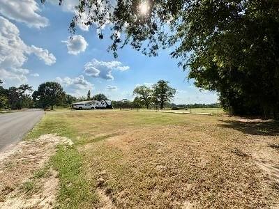 Mineola - Residential