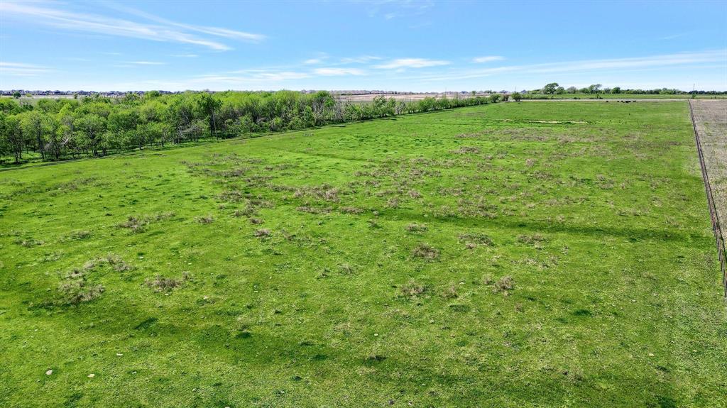 Coleman Watson Survey - Land