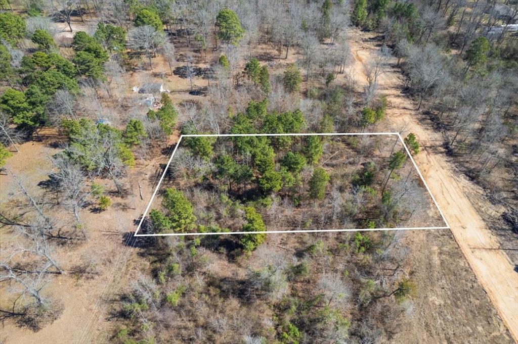 Piney Woods Estates - Land