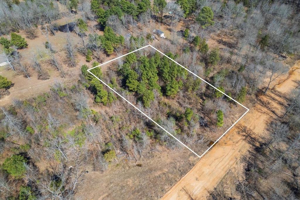 Piney Woods Estates - Land