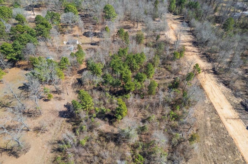 Piney Woods Estates - Land