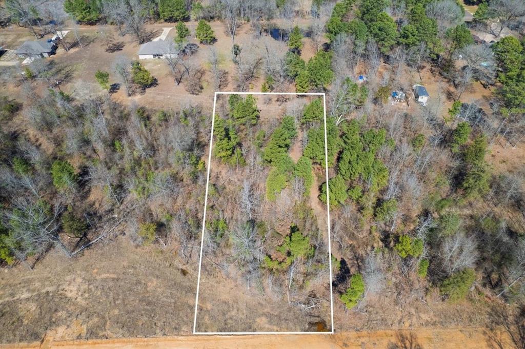 Piney Woods Estates - Land
