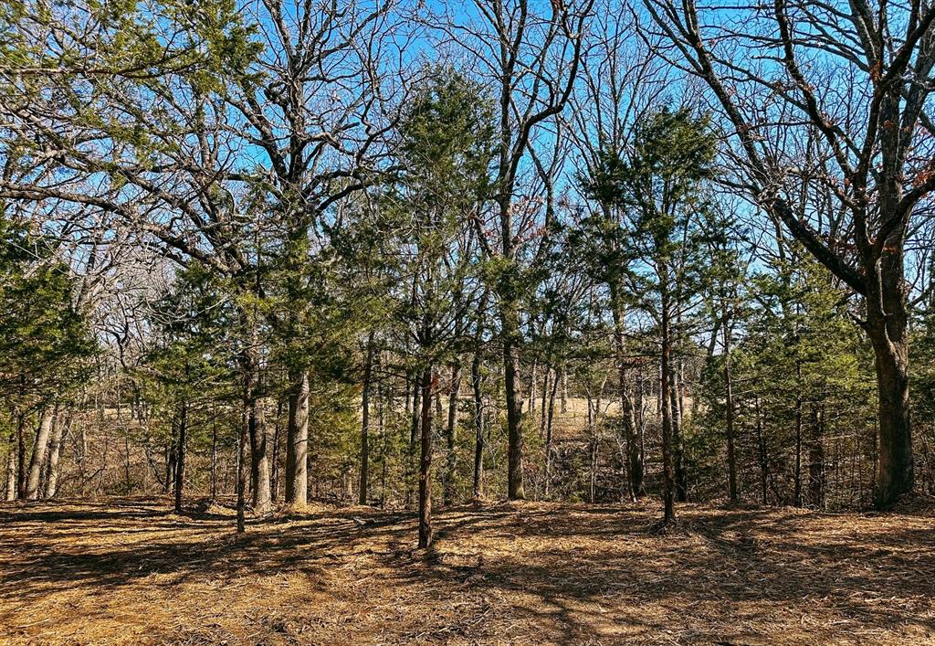 Retreat at Lake Texoma - Land