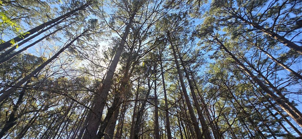 Safari Waters Ranch - Land