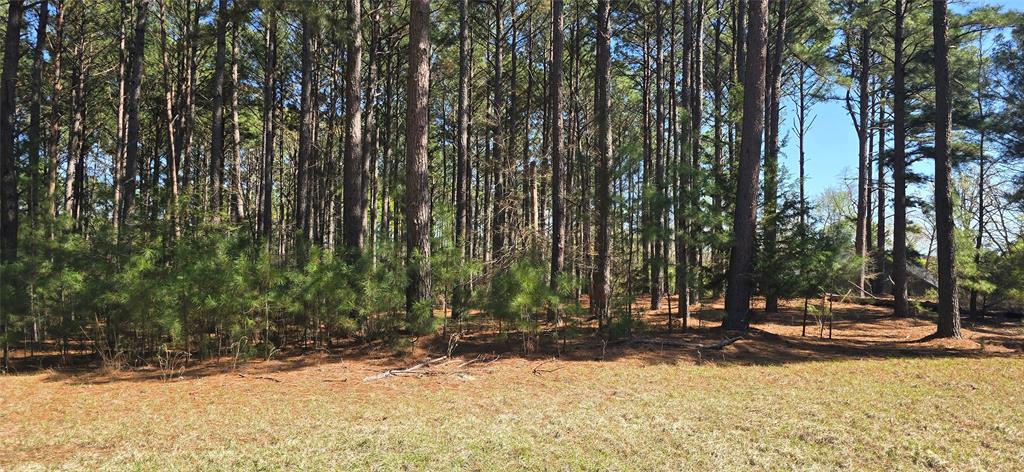 Safari Waters Ranch - Land