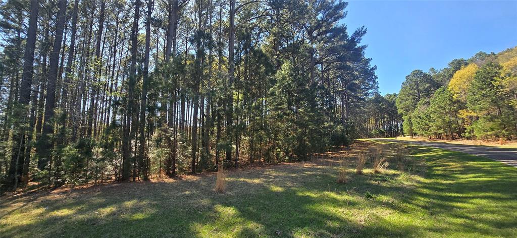 Safari Waters Ranch - Land