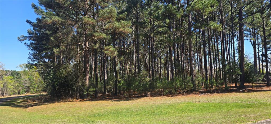 Safari Waters Ranch - Land