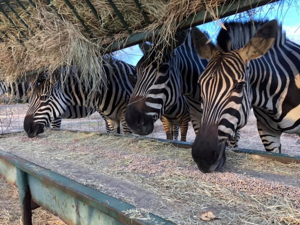 Safari Waters Ranch - Land