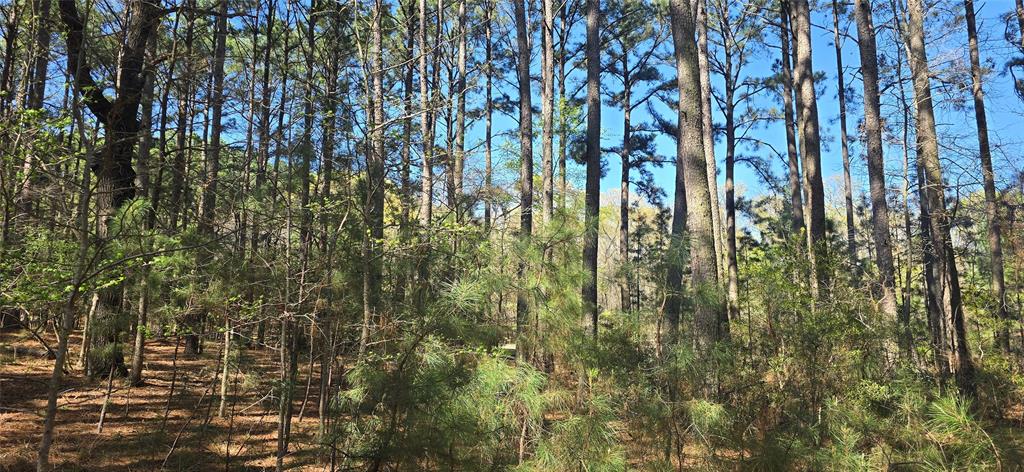 Safari Waters Ranch - Land