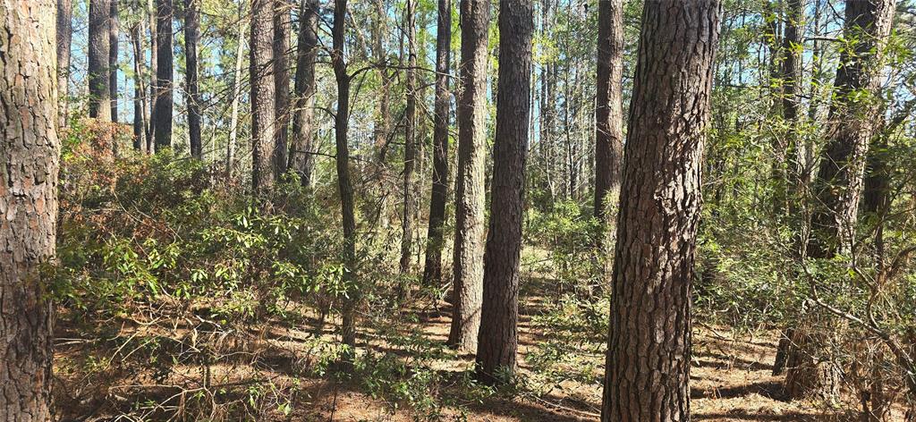 Safari Waters Ranch - Land