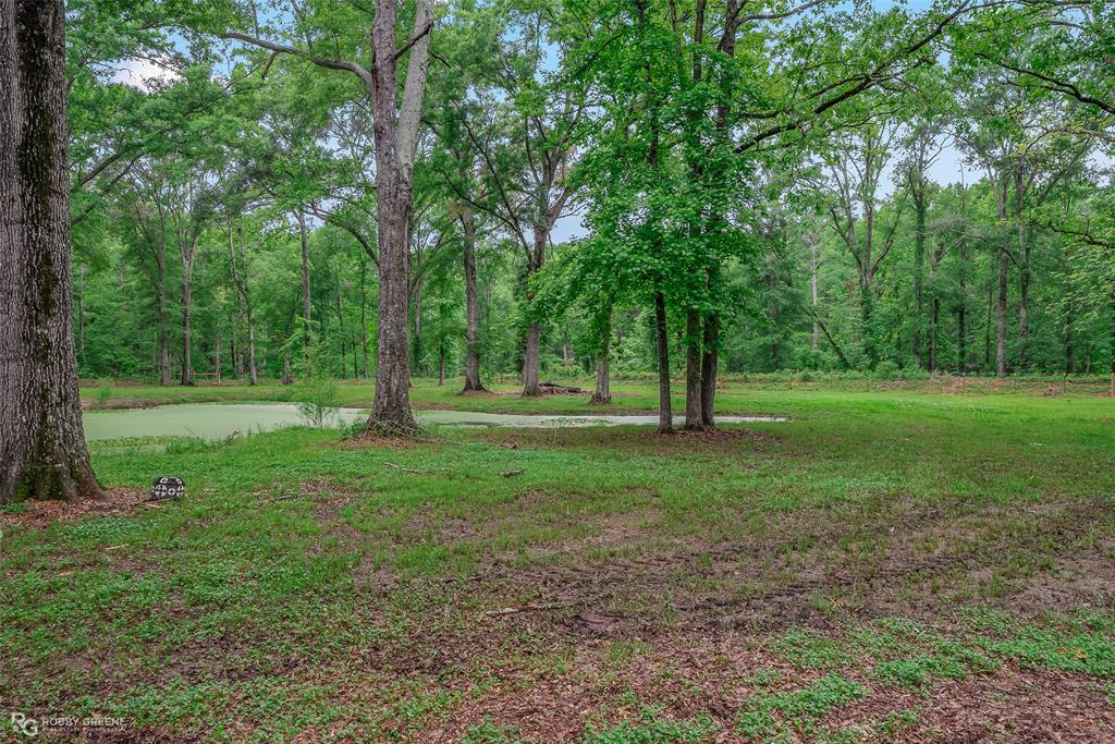 Lucky Estate - Residential