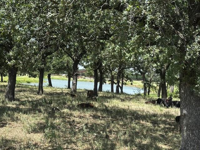 10400 Lipan Highway