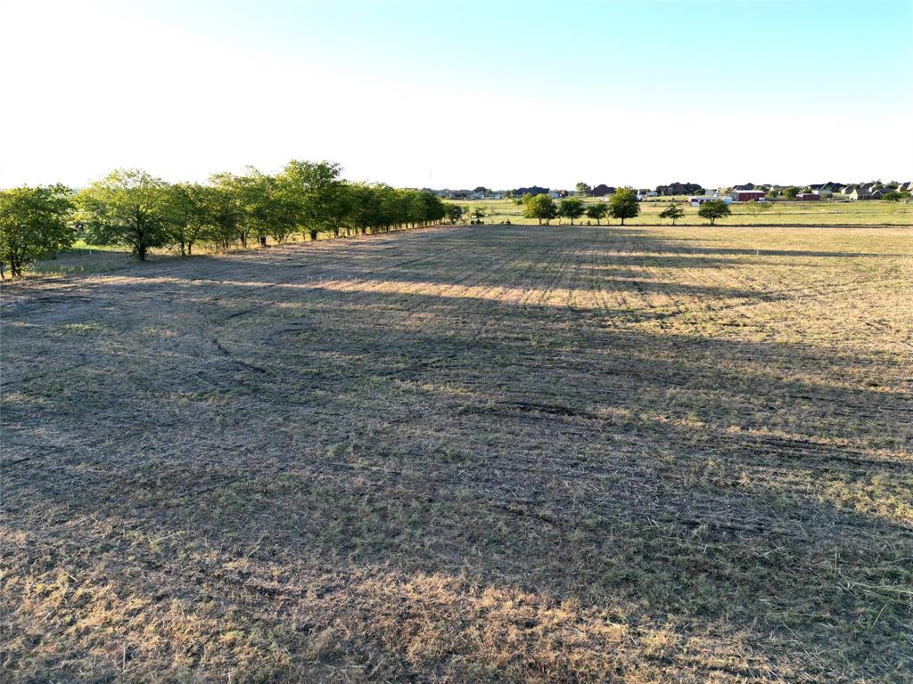 Goldie's Farm - Land