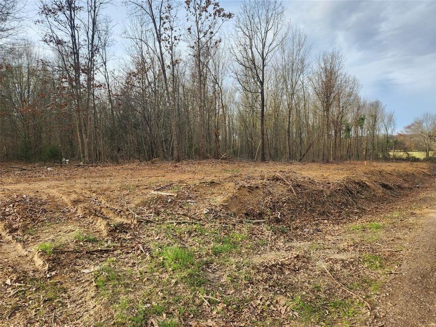 Beautiful land for sale in Hopkins County in Saltillo school district. Property is a beautiful mix of trees and open space. This gorgeous lot has water and electric available at the road. It is ready for your Home: Site Built, Mobile, Manufactured, Tiny or Barndominium. NO RESTRICTION ON TYPE OF HOME. Only light restrictions to maintain property values: Seller will be providing a brand new Plat Survey! Several lots available. Owner Financing available. Great opportunity - Call today for owner financing terms. Price is different if Owner Financing.