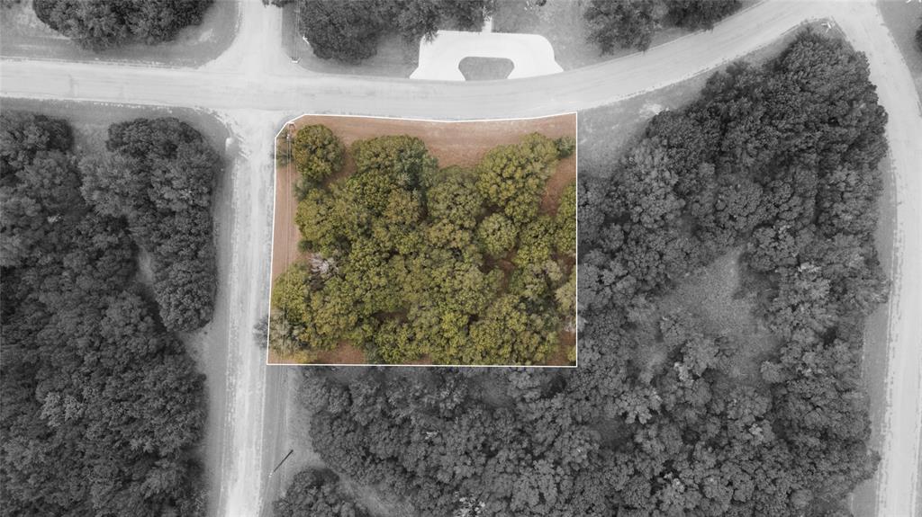 White Bluff #25 - Land