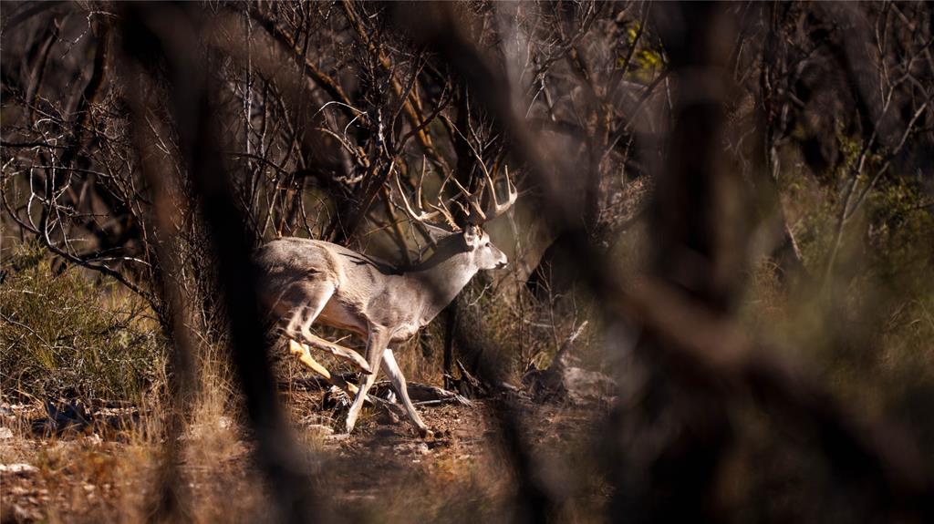 20775 County Road 1445