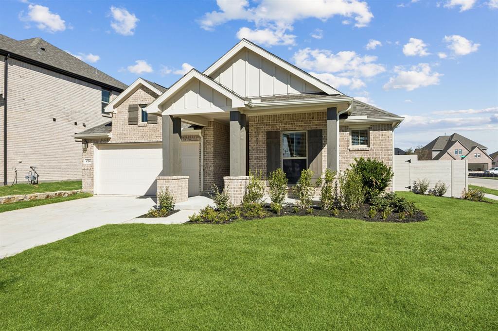 Painted Tree - Residential