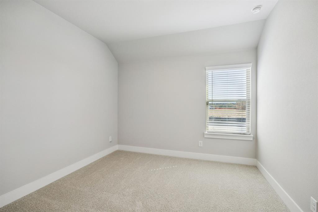 Painted Tree - Residential