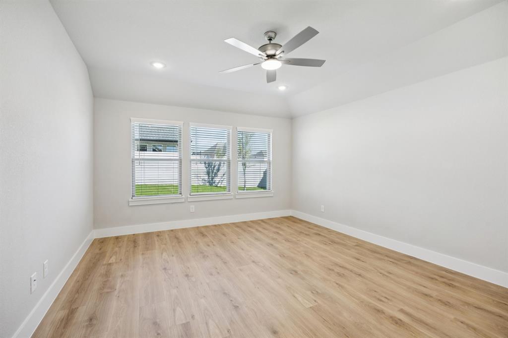 Painted Tree - Residential