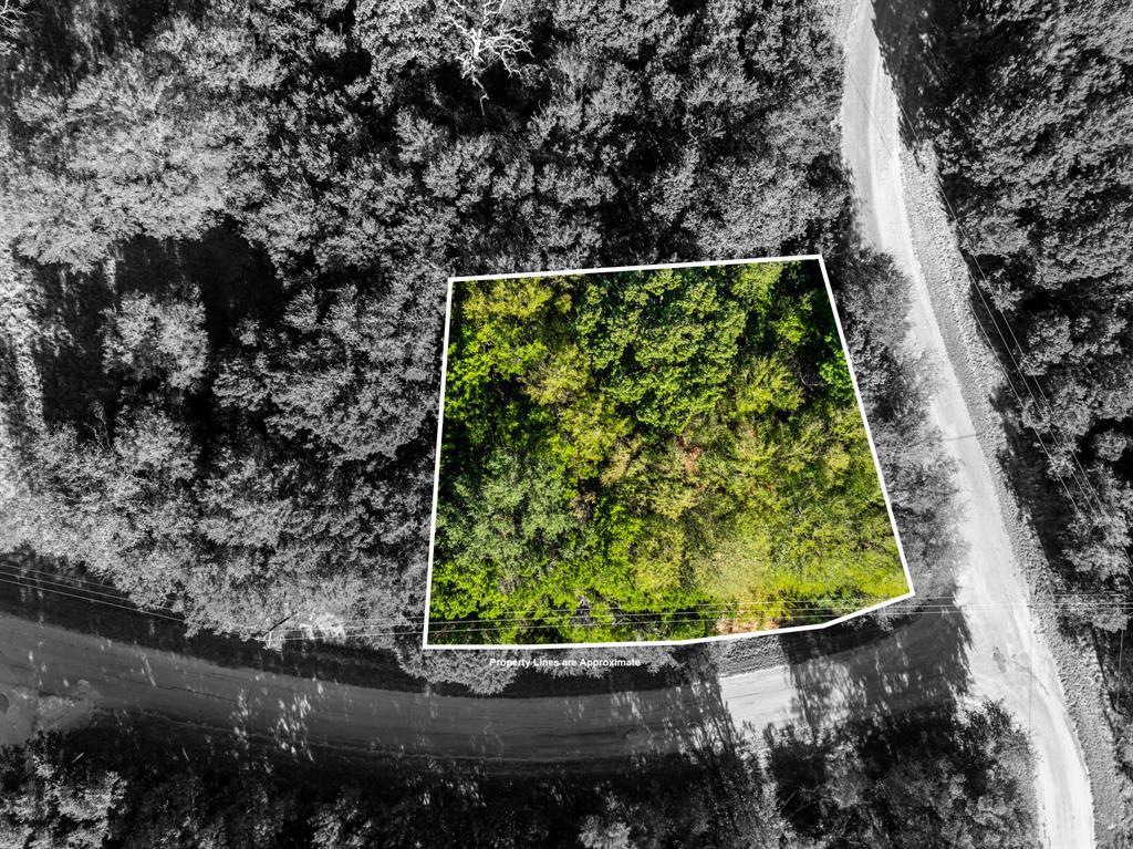 White Bluff #17 - Land