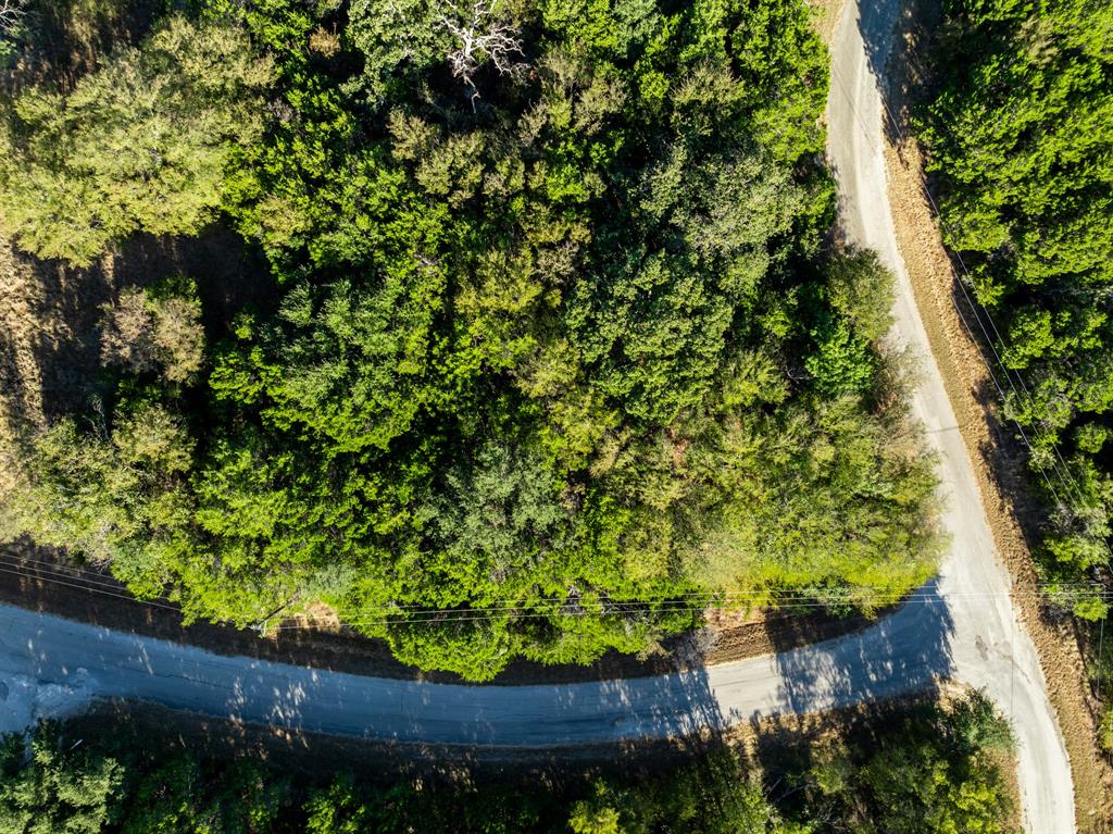 White Bluff #17 - Land