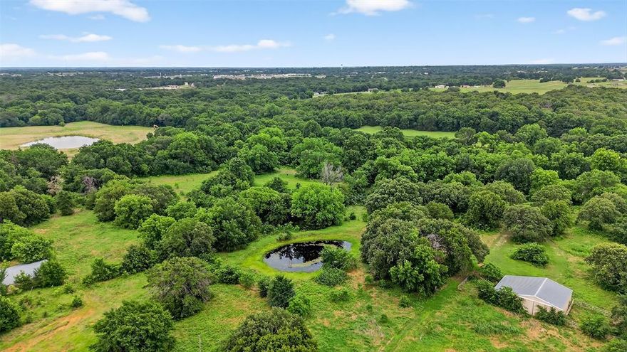 North Texas beauty at it's finest.  Come build your dream home, develop or just enjoy your animals.  This 59 plus acres gives your ample opportunities.  Picturesque views with ample trees, lush pasture, spring fed creek and a pond.  Paved road frontage with community water and electric on site.  Located just off Hwy 82, 20 minutes to Sherman and Gainesville and less than an hour to Frisco and the DFW Metroplex.