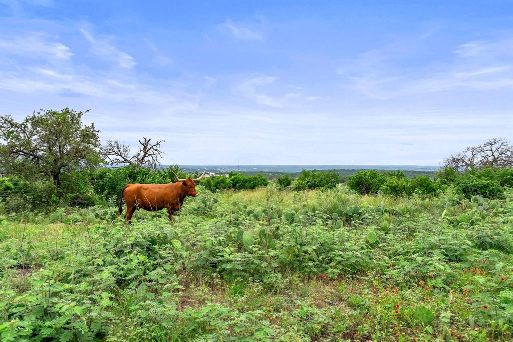 Highland Hills - Farm