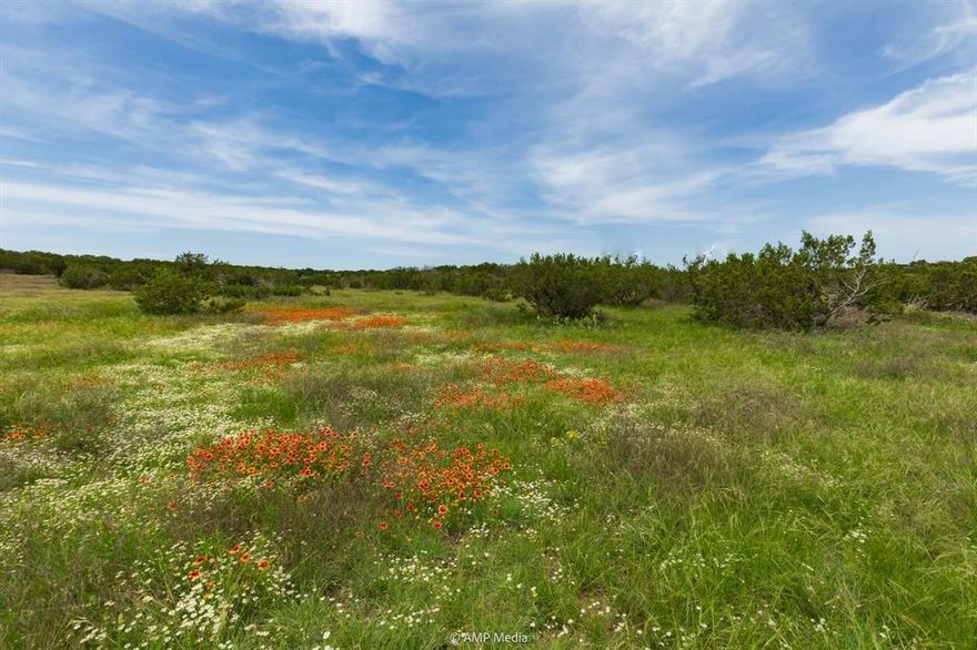 This is the Taylor County retreat you've been searching for!  Perfect location to build your dream home, or simply have a place to enjoy nature and get out of the city.  Located 30 minutes south of Abilene with easy access off of US Hwy 277, this property is far enough away to enjoy the country but close enough to go into town to eat or shop!  Electricity is available, and ground water is very strong - the seller will even have a water well drilled for you! There is barb wire perimeter fencing in place and a gated entrance off the highway.  The seller will convey all mineral and wind rights presently owned, believed to be 25% of the mineral rights, 100% of the wind leasing rights, and 50% of the wind royalty rights. There are some deed restrictions in place to protect property value, call for details. This is an excellent price for a ranchette of this size - call and schedule a private showing soon!