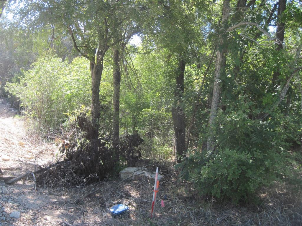 1119 Boot Trail Court