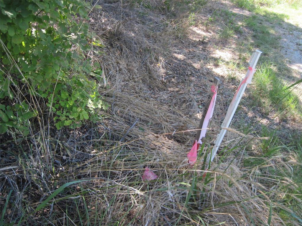 1119 Boot Trail Court