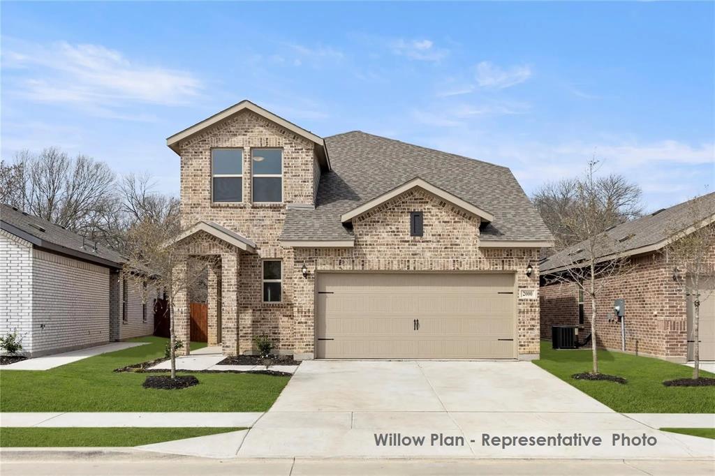 3116 Yellow Pine