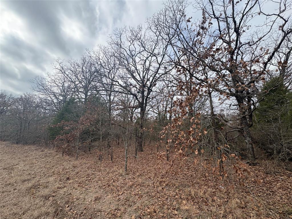 CHEROKEE SHORES - Land