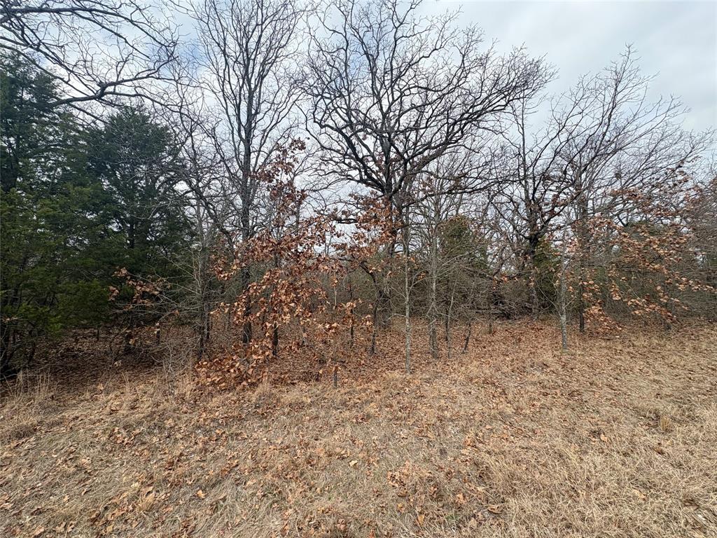 CHEROKEE SHORES - Land