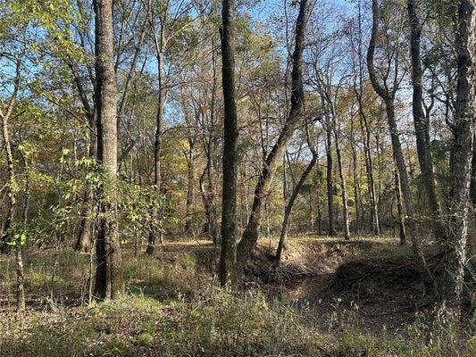 TBD COUNTY ROAD 1412, BOGATA, TX 75416 - Image df25c3cf07cc63f19b2d85d96f73b21c/2826519325