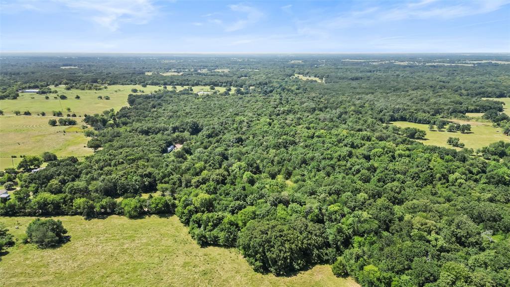 289 County Road 4586