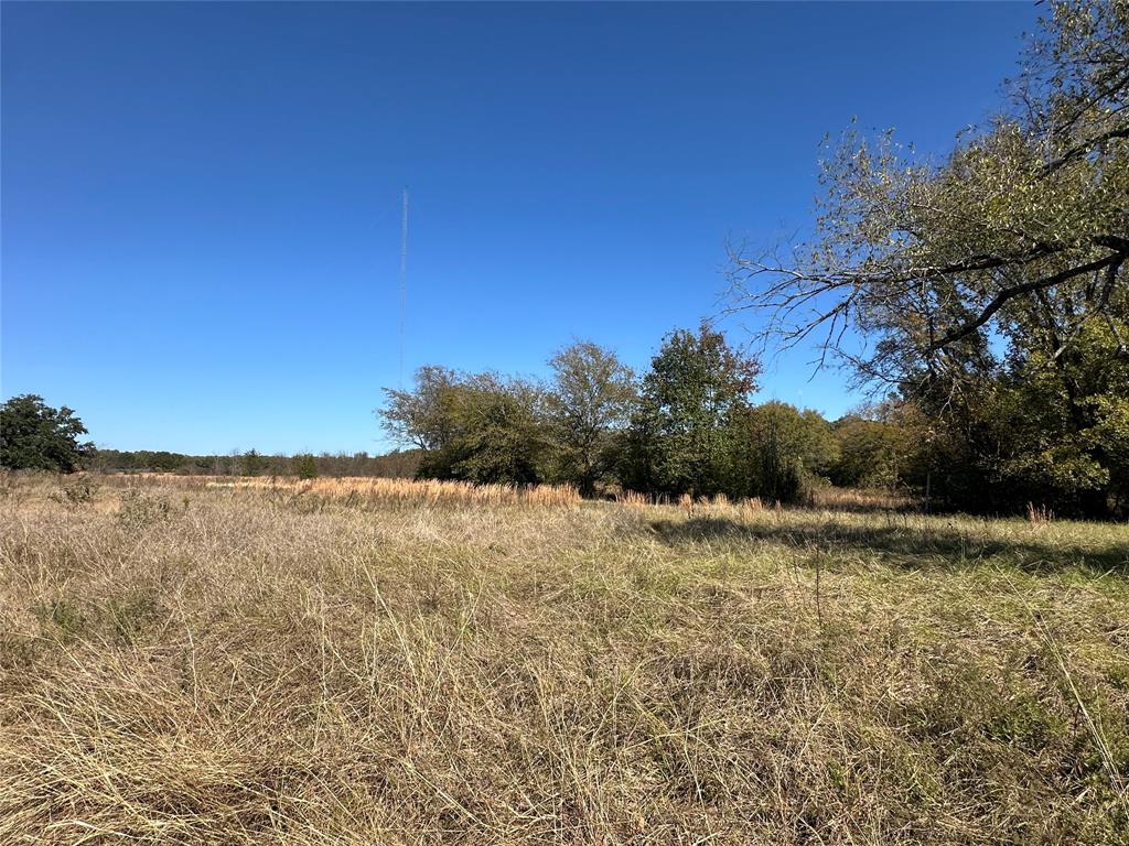 ZACHARIAH MOORE, TRACT 35.01; 2.0 ACRES - Land